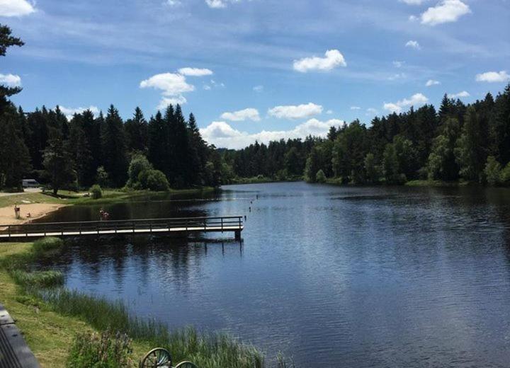 Gite Des 3 Etangs Malvieres Экстерьер фото